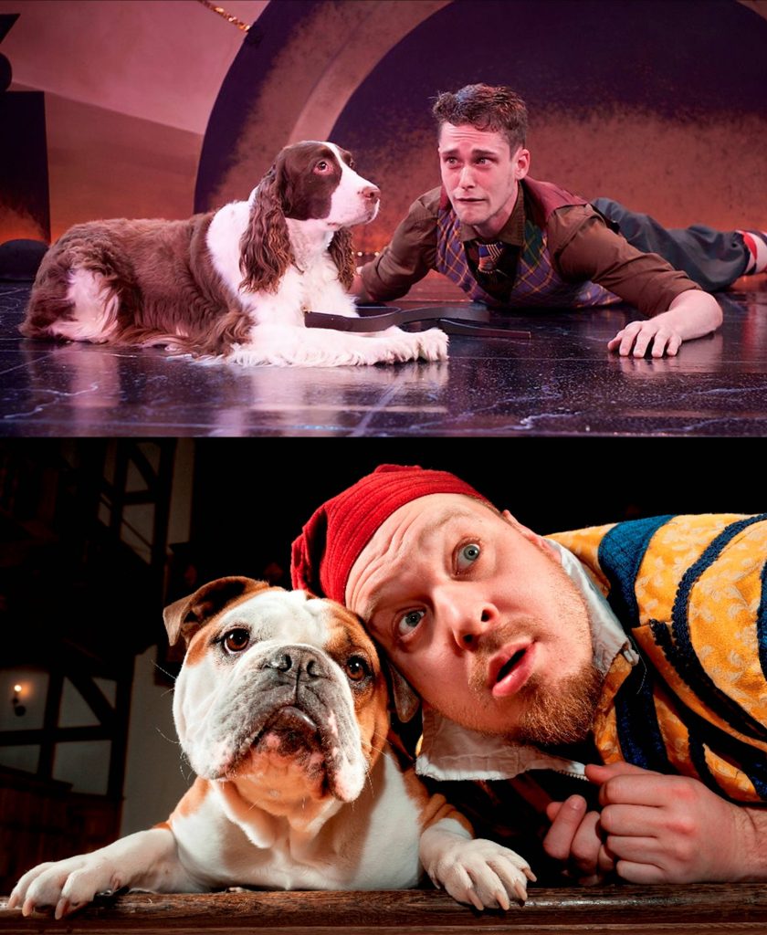 Above: Crab the dog and Launce from The Two Gentleman of Verona, played by Julie and Matthew Alan Ward of the Annapolis Shakespeare Company. Below: Launce played by Benjamin Curns, with Crab the dog, played by a scene-stealer from Augusta Dog Adoptions, in an American Shakespeare Center production of The Two Gentleman of Verona.